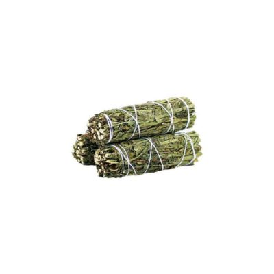 Ruda Rue Sage Smudge Stick