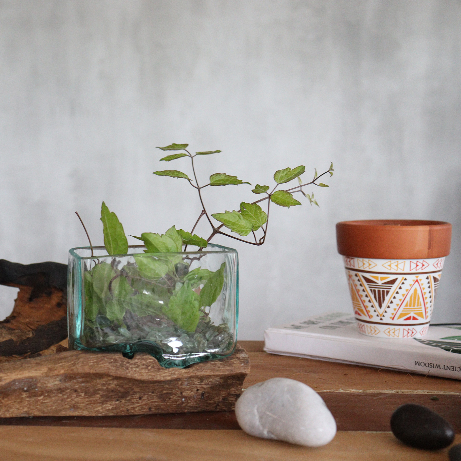 Molten Glass Tank on Wood with Stand – Small Bowl 3 Molten Glass Tank on Wood with Stand – Small Bowl