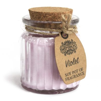 2 x Violet Soy Pot of Fragrance Candles