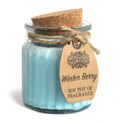 2 x Winter Berry Soy Pot of Fragrance Candles