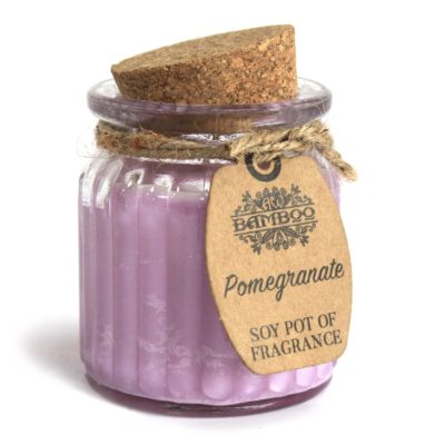 2 x Pomegranate Soy Pot of Fragrance Candles