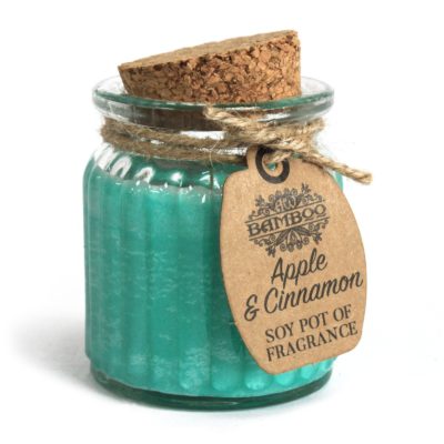 2 x Apple & Cinnamon Soy Pot of Fragrance Candles