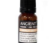 10 ml Carrot Seed Essential Oil