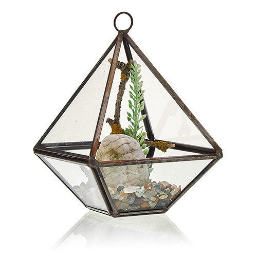 Small Diamond Glass Terrarium Small Diamond Glass Terrarium