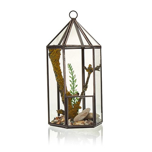 Lantern Shape Glass Terrarium Lantern Shape Glass Terrarium