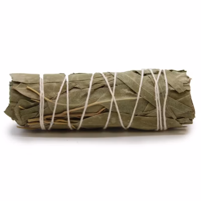 Smudge Stick – White Sage & Eucalyptus 10 cm