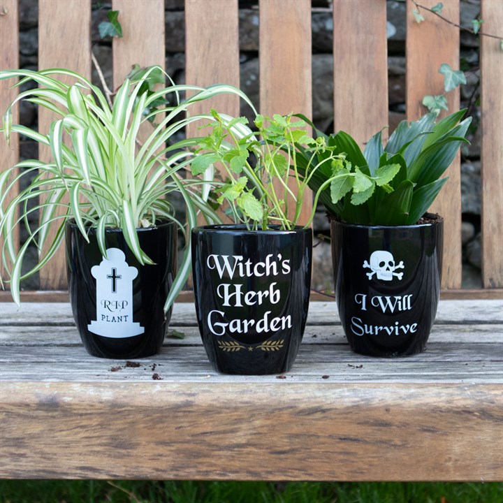 Witch’s Herb Garden Plant Pot 3 Witch’s Herb Garden Plant Pot