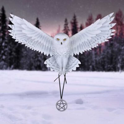 Awaken your Magic