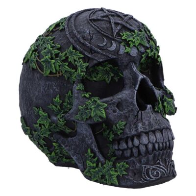 Pentagram Ivy Skull