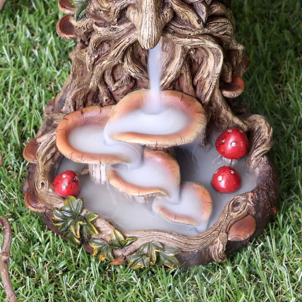 Wisest Dryad Backflow Burner 6 Wisest Dryad Backflow Burner