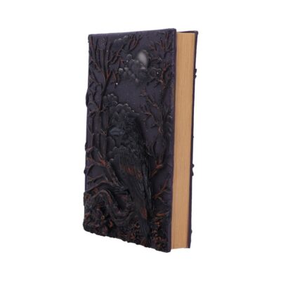 Raven’s Grimoire Journal