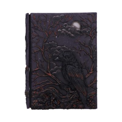 Raven’s Grimoire Journal