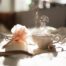 keeping a dream diary