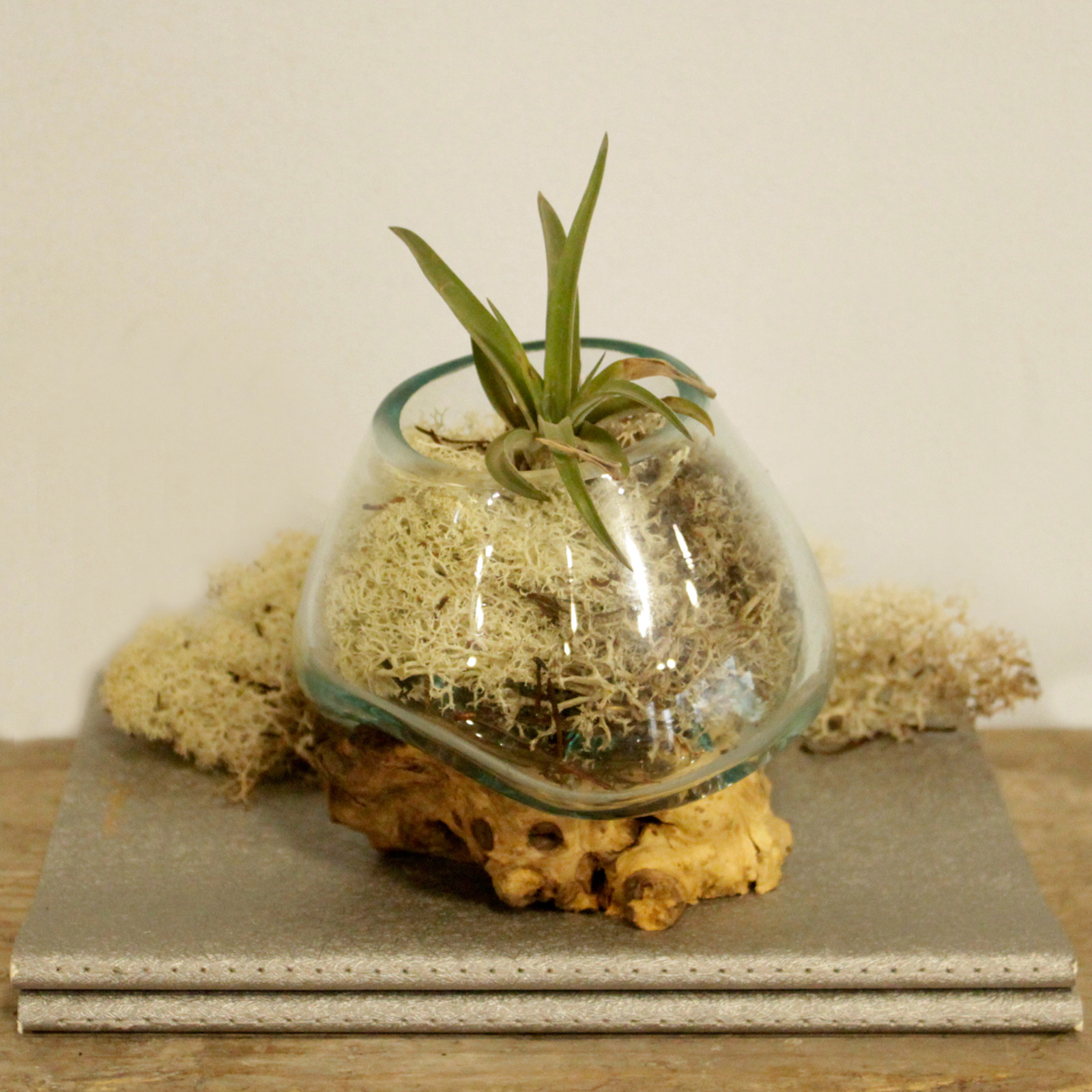 Molten Glass on Wood – Small Bowl Molten Glass on Wood – Small Bowl